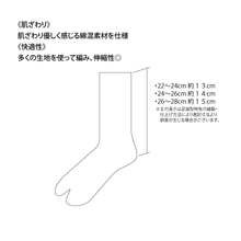 画像をギャラリービューアに読み込む, ⅱライン 足袋ロークルーソックス