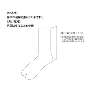 表糸綿100％ ベーシック　足袋ロークルーソックス【28～30cm】